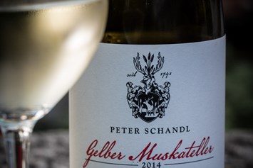 Direktvermarkter: Weingut Peter Schandl