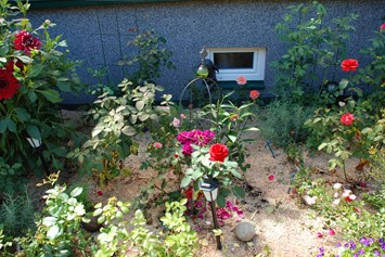 Direktvermarkter: Für Blumen und Rosenbeete eignet sich NaturMulch hervorragend als Mulchmaterial, da es die Bodenfeuchtigkeit speichert.  - NaturMulch Endl
