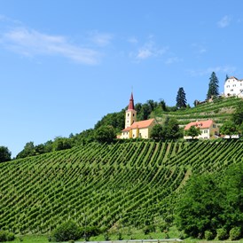 Direktvermarkter: Schloss Kapfenstein und Weingut Winkler-Hermaden - Weingut Winkler-Hermaden