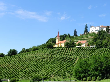 Direktvermarkter: Schloss Kapfenstein und Weingut Winkler-Hermaden - Weingut Winkler-Hermaden