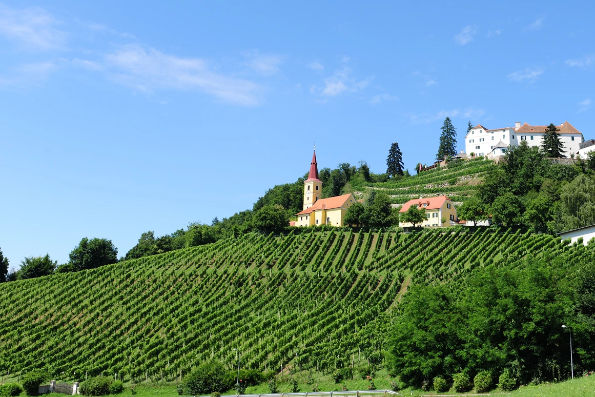 Direktvermarkter: Schloss Kapfenstein und Weingut Winkler-Hermaden - Weingut Winkler-Hermaden