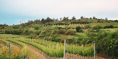 Händler - Niederösterreich - Weingut Englmaier