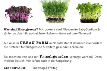 Direktvermarkter: Urban Roots Salzburg