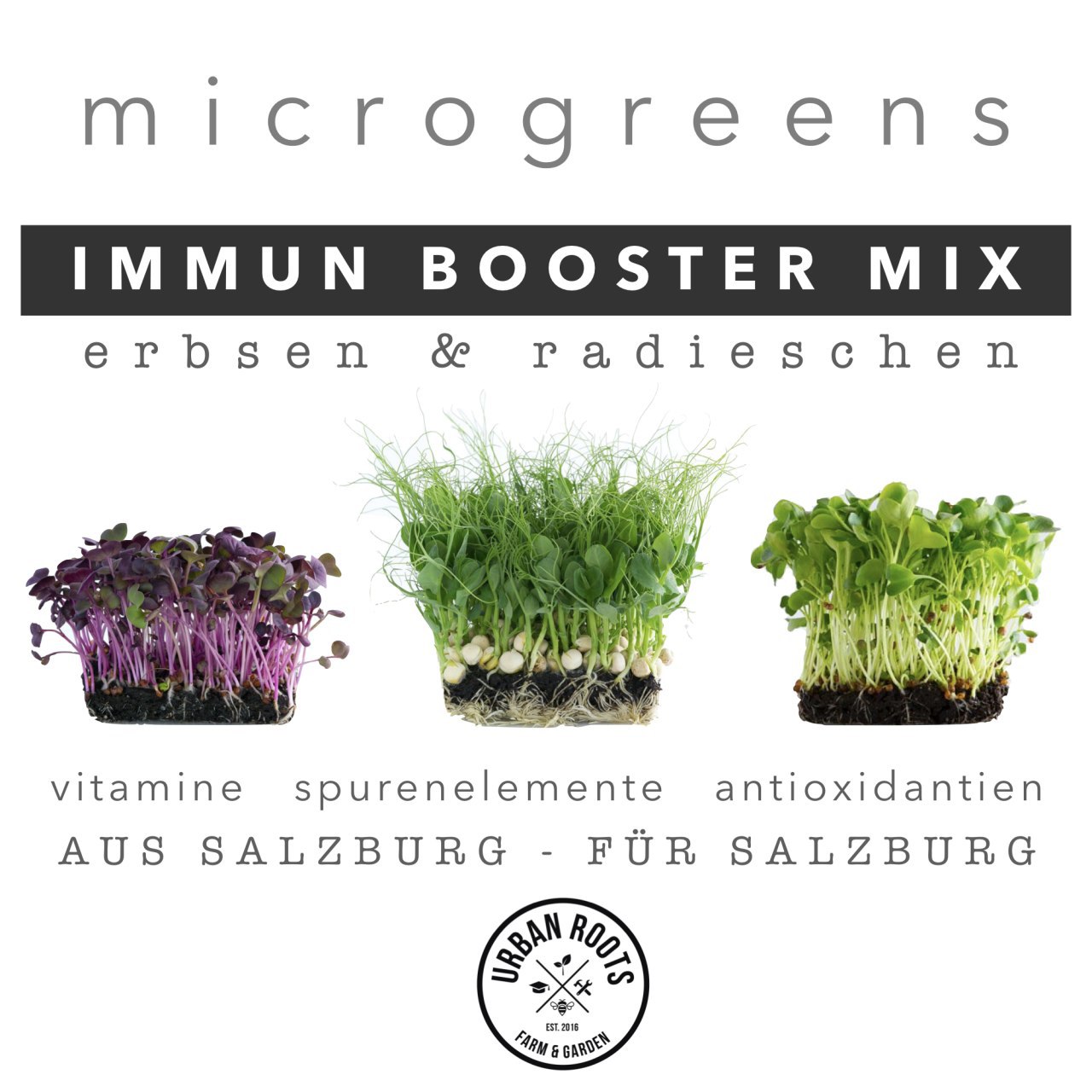 Direktvermarkter: Urban Roots Salzburg