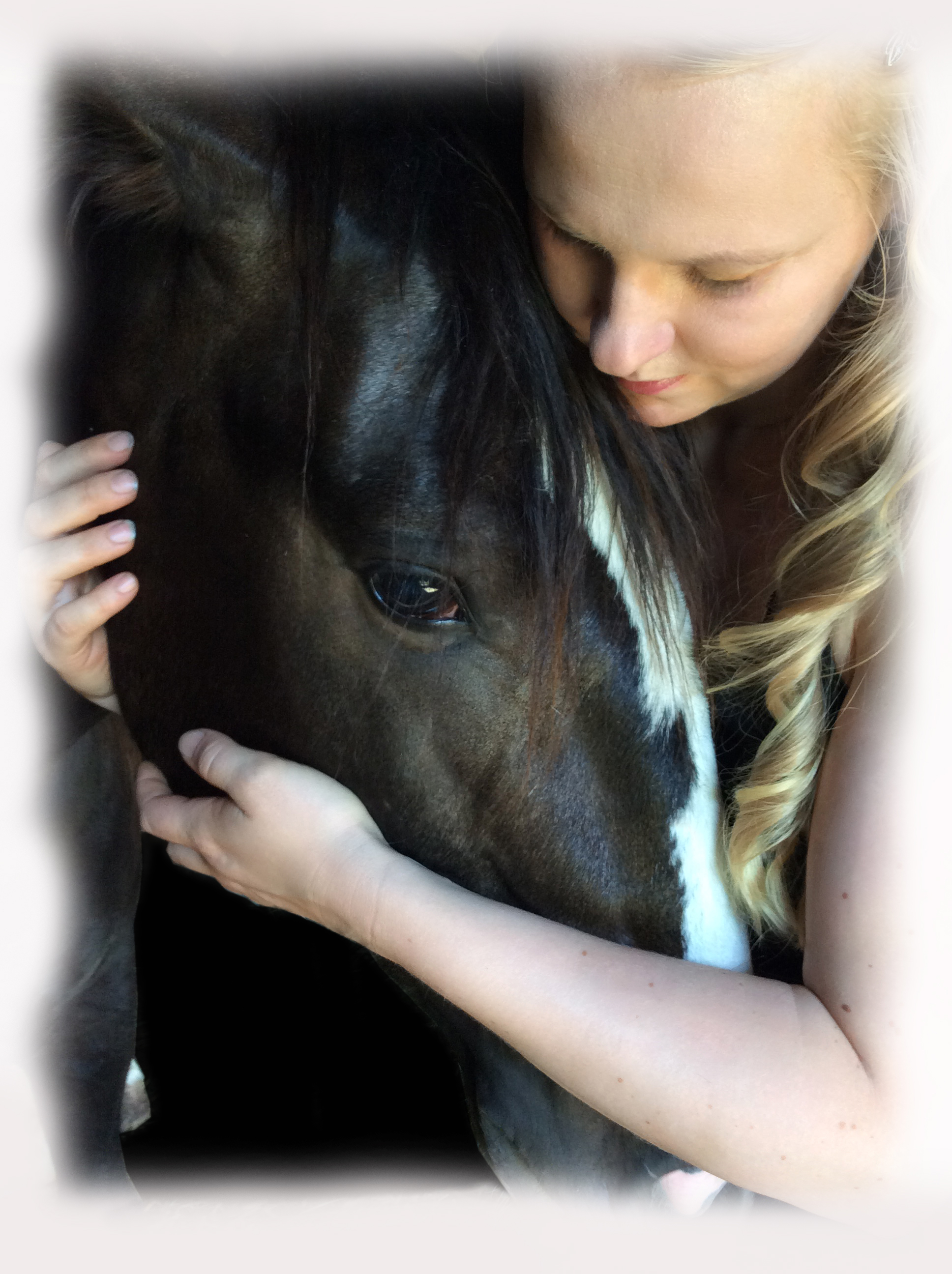 Händler - Sankt Georgen am Walde - Aus Liebe zum Pferd, aus Überzeugung besser! - NATÜRLICH PFERD - Katrin Skaletz e.U.