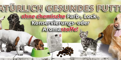 Händler - Markt Allhau - Das Bild zeigt verschiedene Katzen und Hunde, welche Fedor® Tiernahrung genießen. Geschrieben steht „Gesund schmausen und nie mehr bezahlen – klingt lecker!!      - Fedor® Tiernahrung