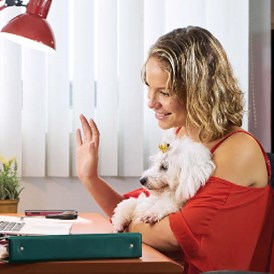 Direktvermarkter: Das Bild zeigt eine Frau vor dem PC und auf Ihren Schoß sitzt ein kleiner weißer Hund. Geschrieben steht „Online-Vortrag kostenfrei! Schuppen, Juckreiz, Allergien, Hautausschläge oder andere Auffälligkeiten!“  - Fedor® Tiernahrung