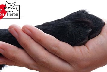 Direktvermarkter: Das Bild zeigt eine Hundepfote in einer Menschenhand gehalten. Daneben das Logo des Charity-Projekts von Fedor® Tieren helfen Tieren! - Fedor® Tiernahrung