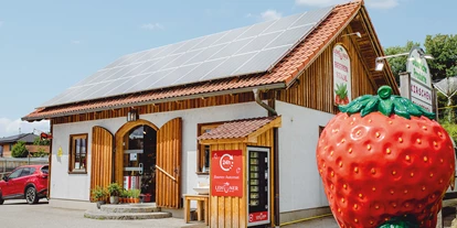 Händler - Niederösterreich - Lehner Beerenstadl - Lehner Beeren GmbH
