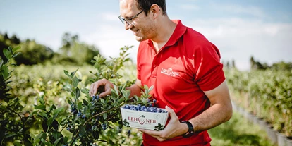 Händler - Niederösterreich - Lehner Beerenstadl - Lehner Beeren GmbH