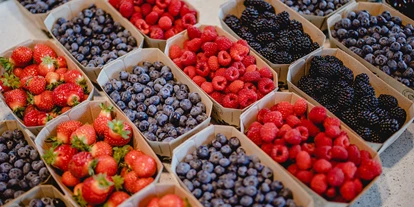 Händler - Niederösterreich - Lehner Beerenstadl - Lehner Beeren GmbH