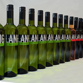 Direktvermarkter: Weingut Wolfgang Lang Qualitätswein regional - Weingut Wolfgang Lang