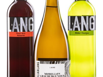 Weingut Wolfgang Lang Produkt-Beispiele Qualitätsweine in großer Auswahl