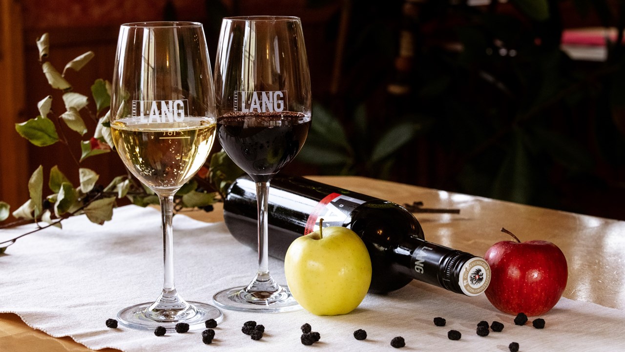 Weingut Wolfgang Lang Produkt-Beispiele Obstweine