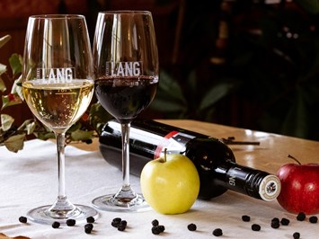 Weingut Wolfgang Lang Produkt-Beispiele Obstweine