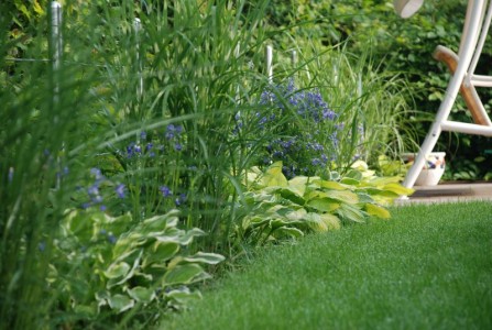 Händler - bevorzugter Kontakt: per WhatsApp - Stauden und Gräser - Der Service Gärtner