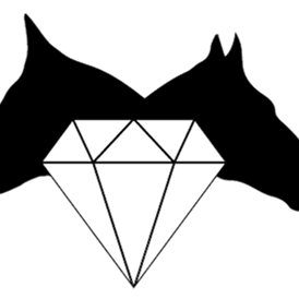 Betrieb: Logo - Tiertraining Diamant  - Tiertraining Diamant 