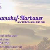 Unternehmen - Lamahof Marbauer 