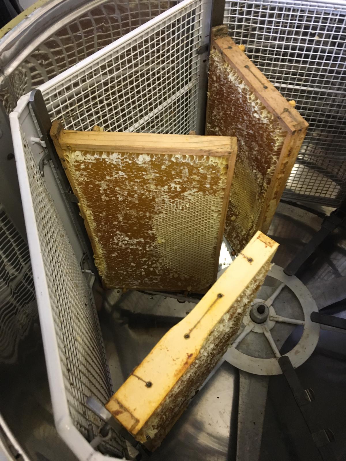 Direktvermarkter: Imkerei Fischlhammer