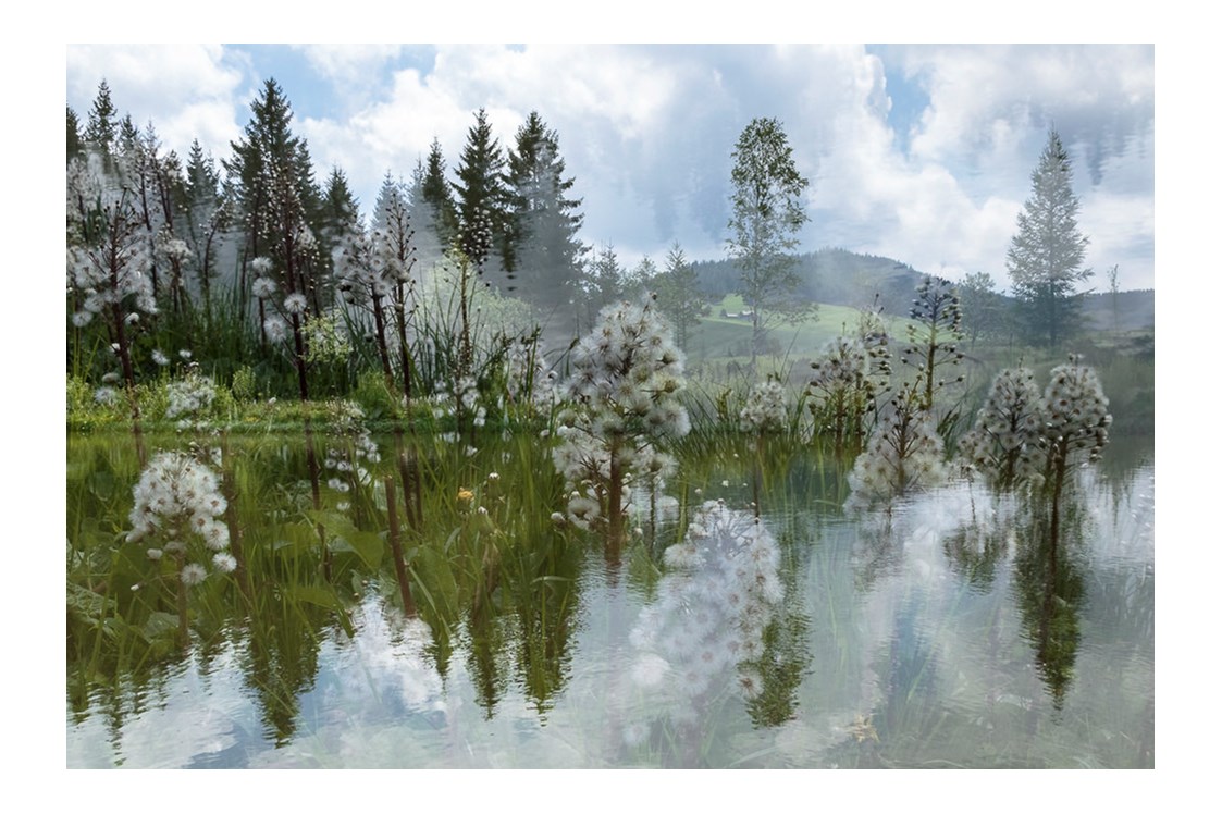 Unternehmen: Pond-Landscape - Regina Cserna Photography - Kunstfotografie - Fineartprints