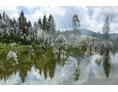 Unternehmen: Pond-Landscape - Regina Cserna Photography - Kunstfotografie - Fineartprints