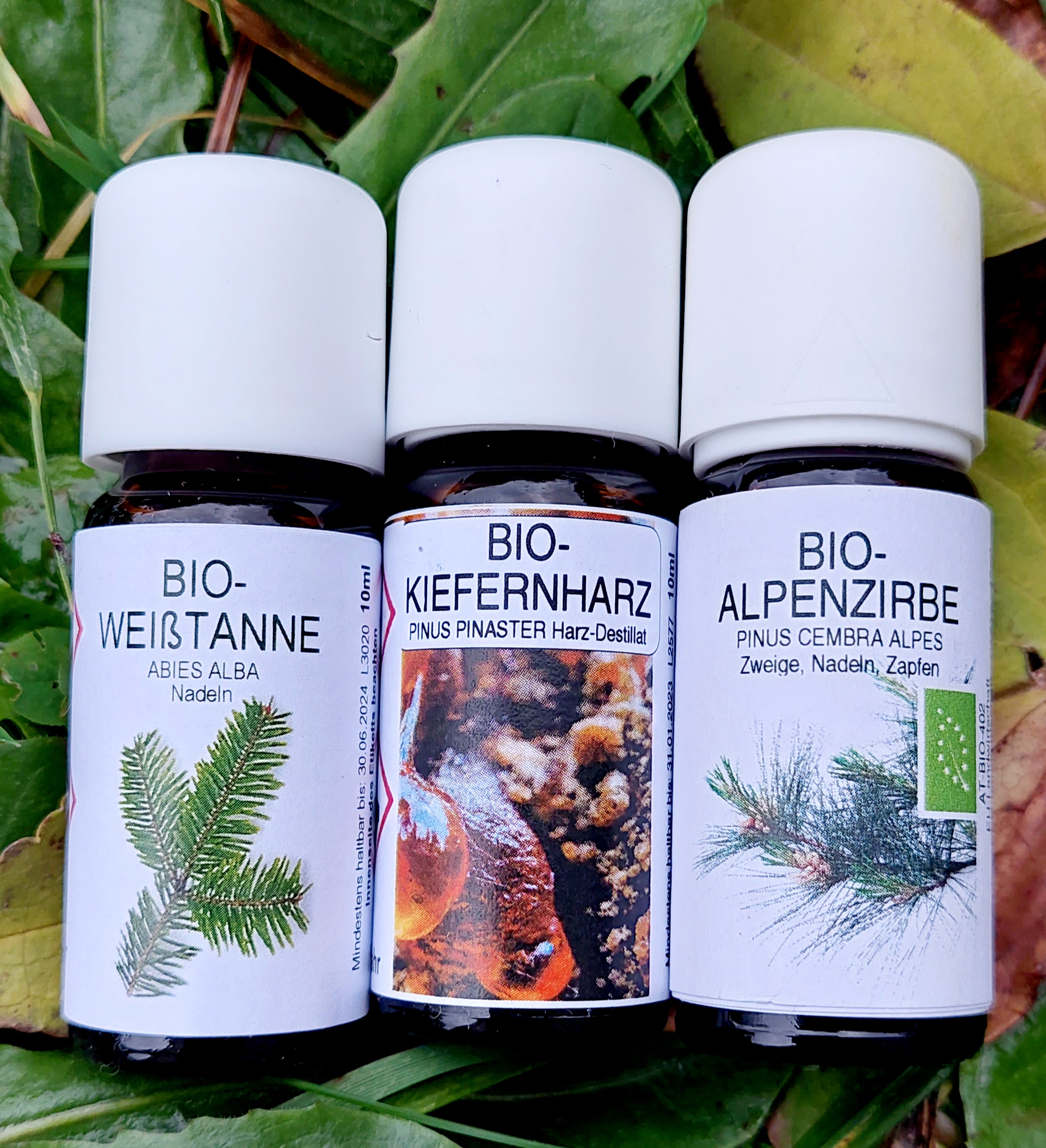 Händler - PLZ 2630 (Österreich) - reine ätherische Öl - Brigitte Brettenthaler Gesundheitspraxis Massage Hypnose Aroma