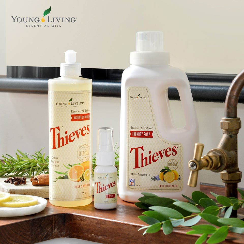 Doris Schlögel - Ihr Weg zu mehr Wohlbefinden Produkt-Beispiele Chemiefreier Haushalt