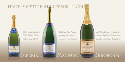 Händler - PLZ 5161 (Österreich) - Champagner - Weisang Premium Products