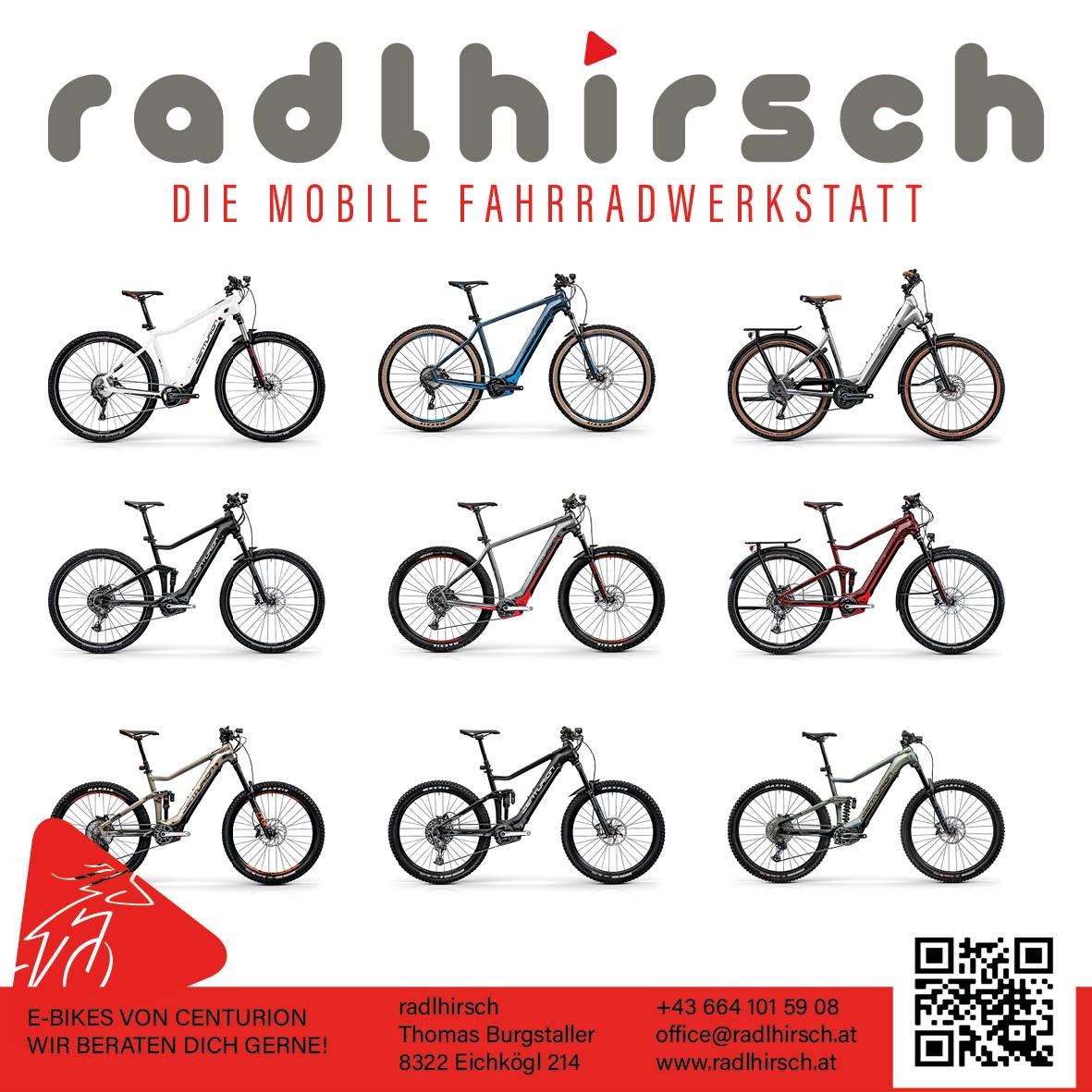 radlhirsch - die mobile Fahrradwerkstatt Leistungsübersicht E-Bikes