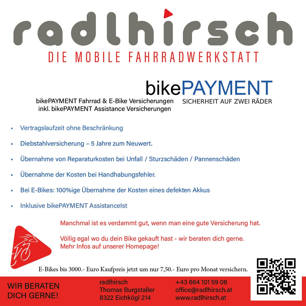 radlhirsch - die mobile Fahrradwerkstatt Leistungsübersicht Fahrradversicherung