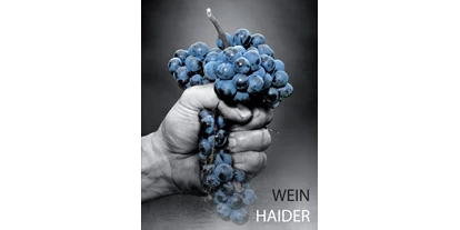 Händler - Burgenland - Eines unserer Logos. Wird bei unserem Dark Treasure verwendet. - Wein Haider