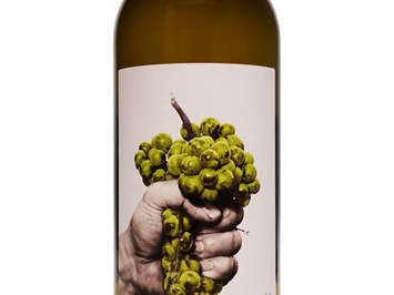 Wein Haider Produkt-Beispiele GRÜNER VELTLINER 2023