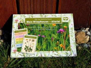 Pflanzenzimmer Produkt-Beispiele Mein Wildpflanzen-Allerlei