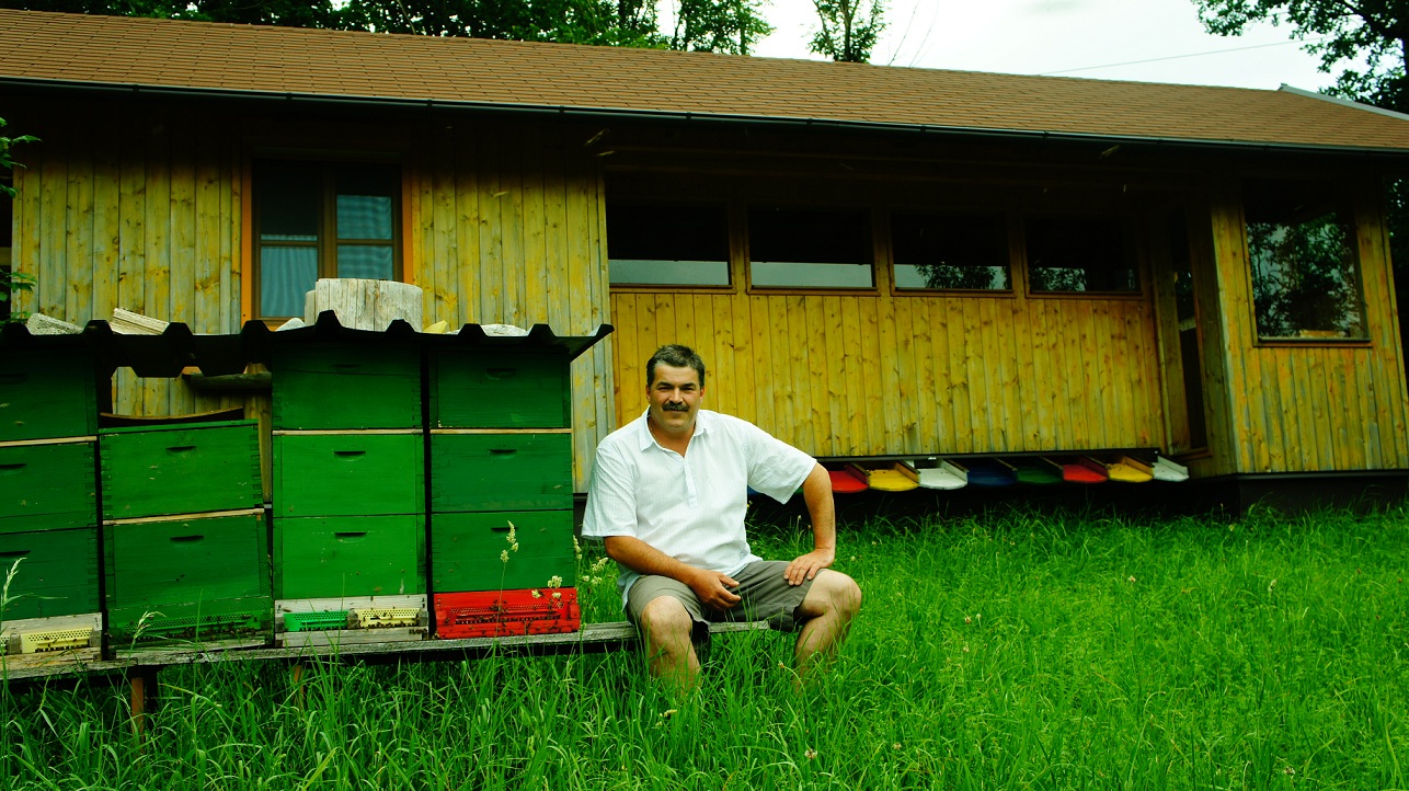 Händler - Hallwang (Hallwang) - Imkerei Bienenmax