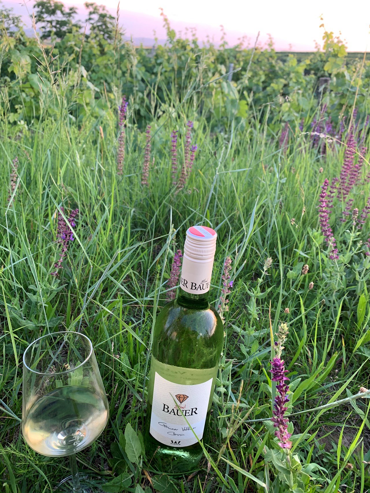 Weingut Emil Bauer Produkt-Beispiele Weißwein 