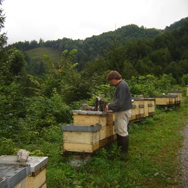 Direktvermarkter: Am Bienenstand Welchau Breitenau - Bio Imkerei Russmann wir Imkern in der Nationalpark Kalkalpen Region . 