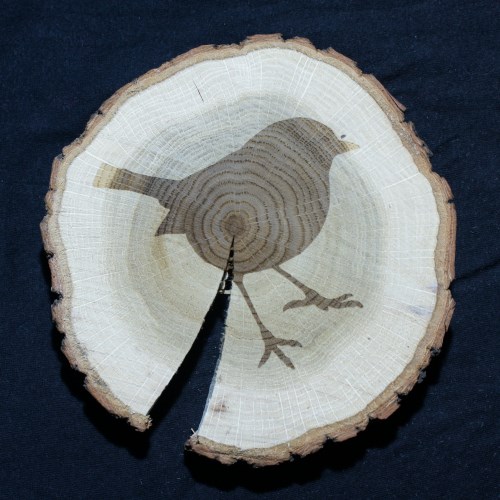 Lasergravurshop Wien Leistungsübersicht Individuelle Gravuren