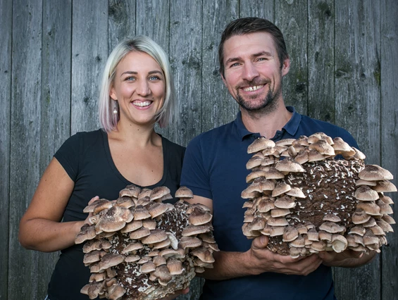 Direktvermarkter: Copyright "kulinarik/wildbild"
Andi & Anna - Flachgauer Biopilze