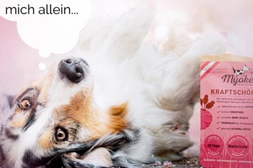 Direktvermarkter: Hund mit Kraftschöpfer Verpackung
 - MYOKEE - Die Bio Hundeküche