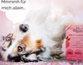 Direktvermarkter: Hund mit Kraftschöpfer Verpackung
 - MYOKEE - Die Bio Hundeküche