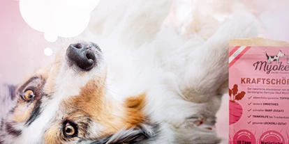 Händler - Salzburg-Stadt (Salzburg) - Hund mit Kraftschöpfer Verpackung
 - MYOKEE - Die Bio Hundeküche