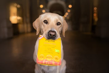 Direktvermarkter: Superfood, Gemüse und Obst für Hunde in Pulver Fertigmischungen - MYOKEE - Die Bio Hundeküche