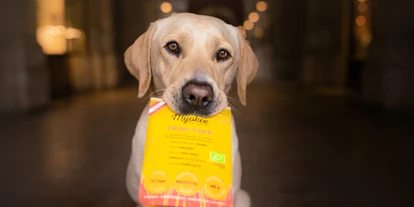 Händler - Salzburg-Stadt (Salzburg) - Superfood, Gemüse und Obst für Hunde in Pulver Fertigmischungen - MYOKEE - Die Bio Hundeküche
