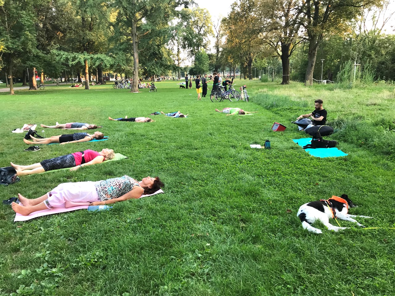 Waterlove Leistungsübersicht Yoga im Park