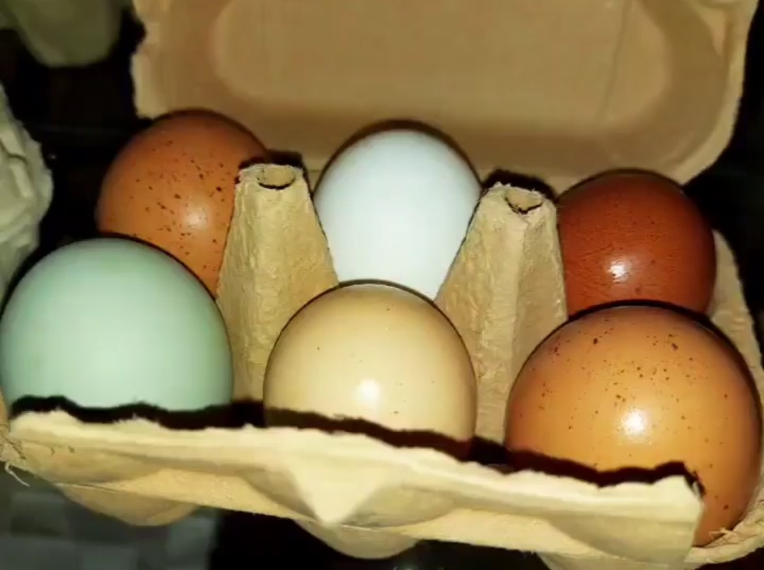 Direktvermarkter: Heustodl-Kunst vom Rossschneiderhof 