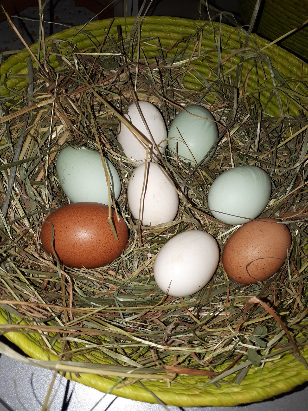 Heustodl-Kunst vom Rossschneiderhof  Produkt-Beispiele Eier