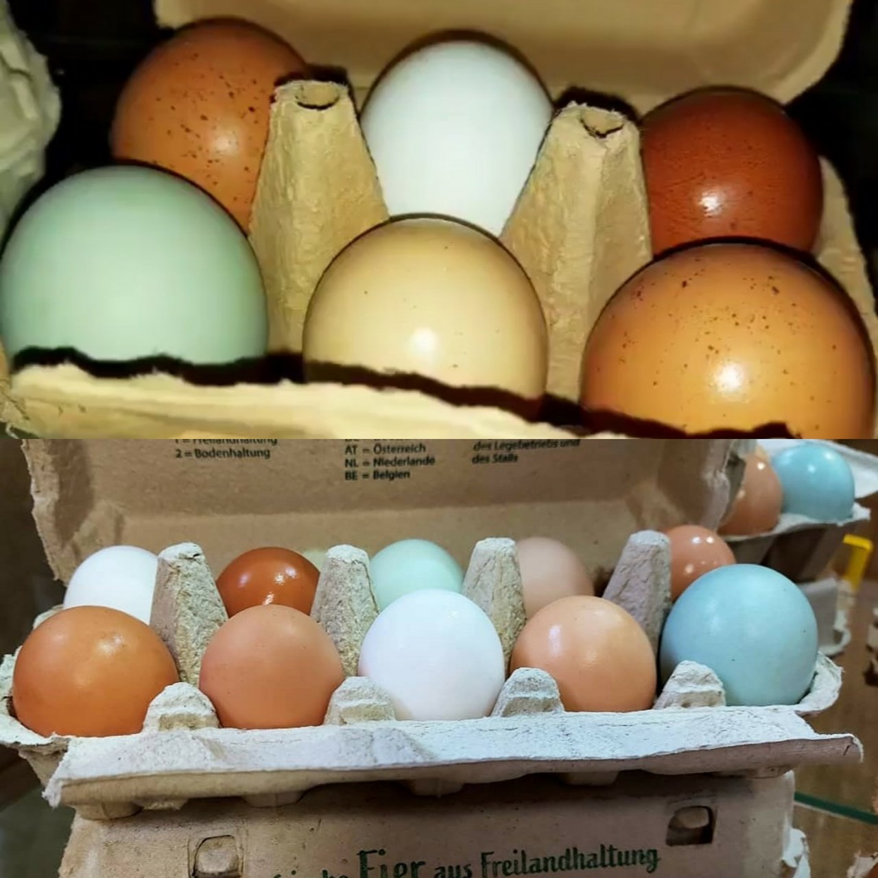 Heustodl-Kunst vom Rossschneiderhof  Produkt-Beispiele Eier