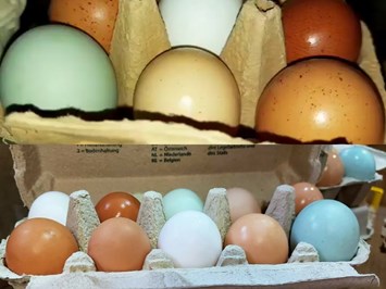 Heustodl-Kunst vom Rossschneiderhof  Produkt-Beispiele Eier
