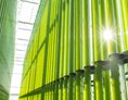 Unternehmen: ecoduna Algenwelt in NÖ - für nachhaltige und reine Algen als Nahrungsergänzung, Kochzutat und vieles mehr! - Jongerius ecoduna GmbH
