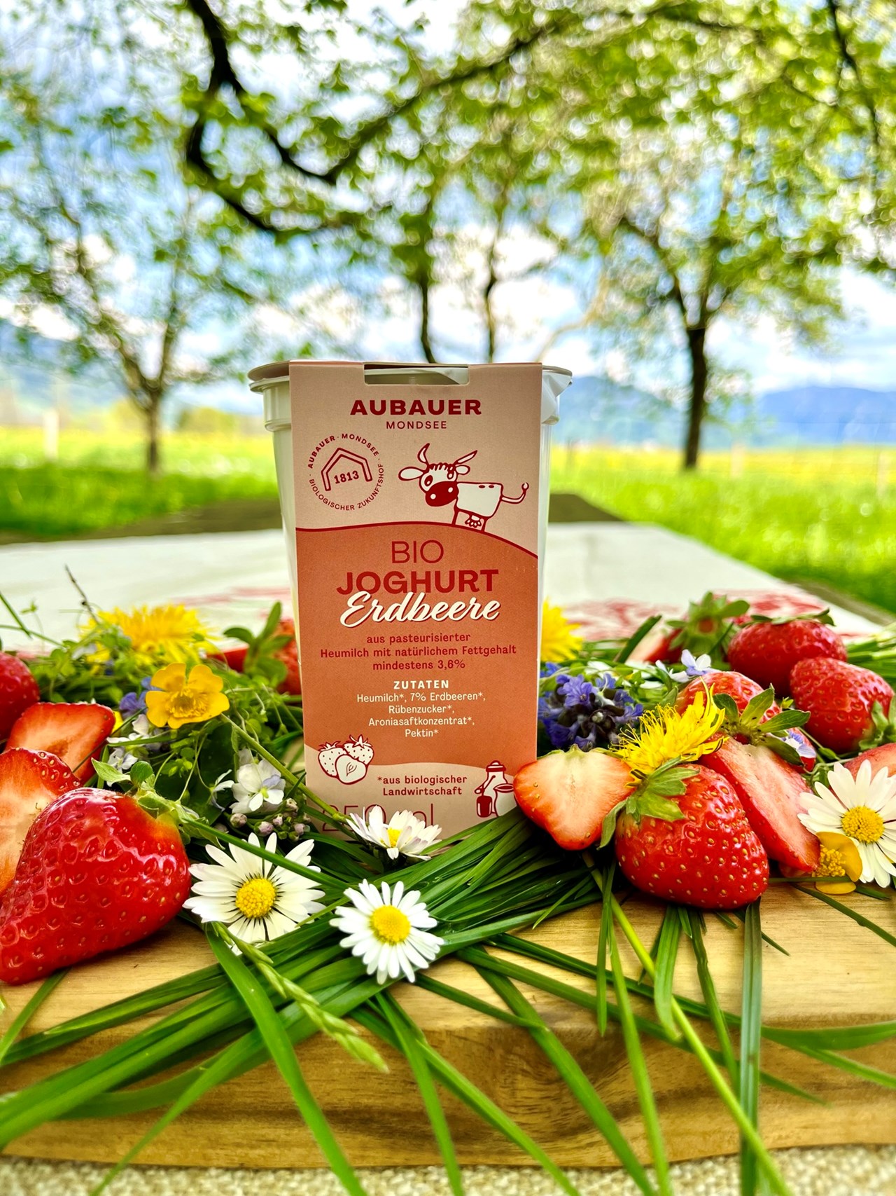 Aubauer Mondsee Produkt-Beispiele Bio Erdbeer-Joghurt